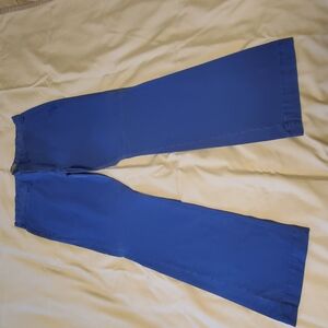 Blue Express Chino Pants